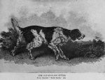 THE-OLD-ENGLISH-SETTER-From-Daniels'-'Rural-Sports'-1802